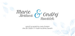 Barevná varianta