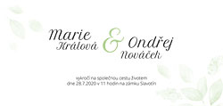 Barevná varianta