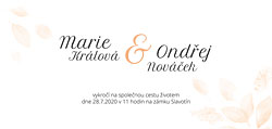 Barevná varianta