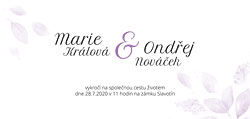 Barevná varianta