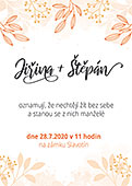 Barevná varianta
