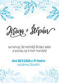 Barevná varianta