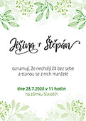 Barevná varianta
