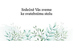 Barevná varianta